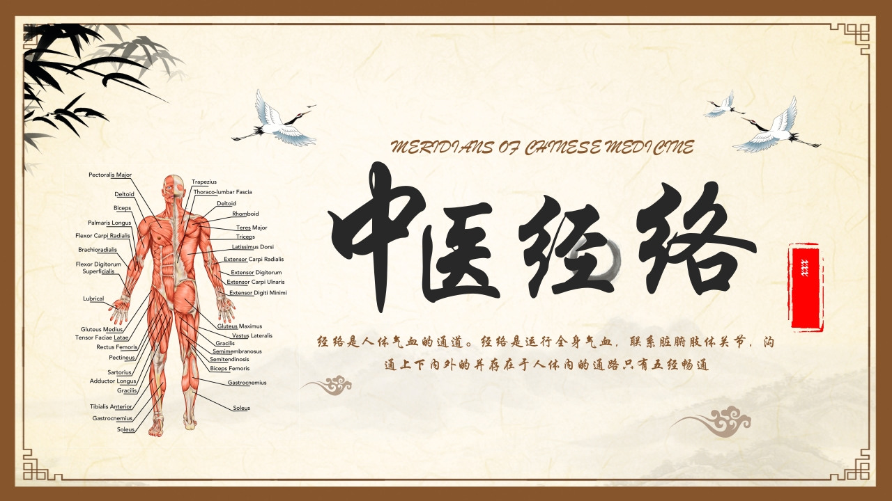 中医经络-医者文库