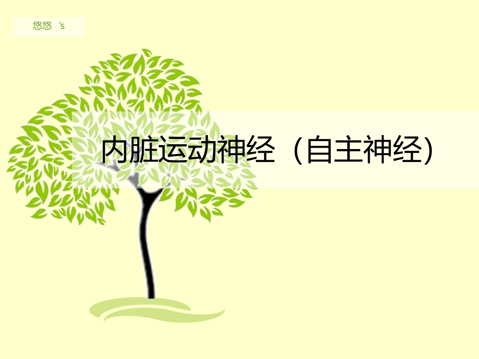 内脏运动神经（自主神经）-医者文库