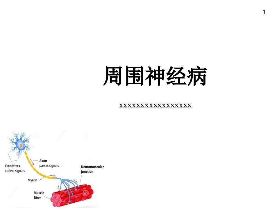 神内周围神经病-医者文库