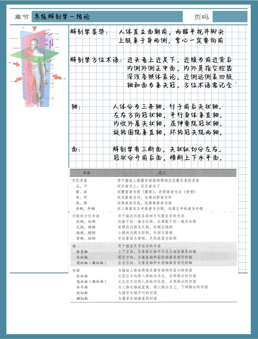 系统解剖学手写笔记-医者文库