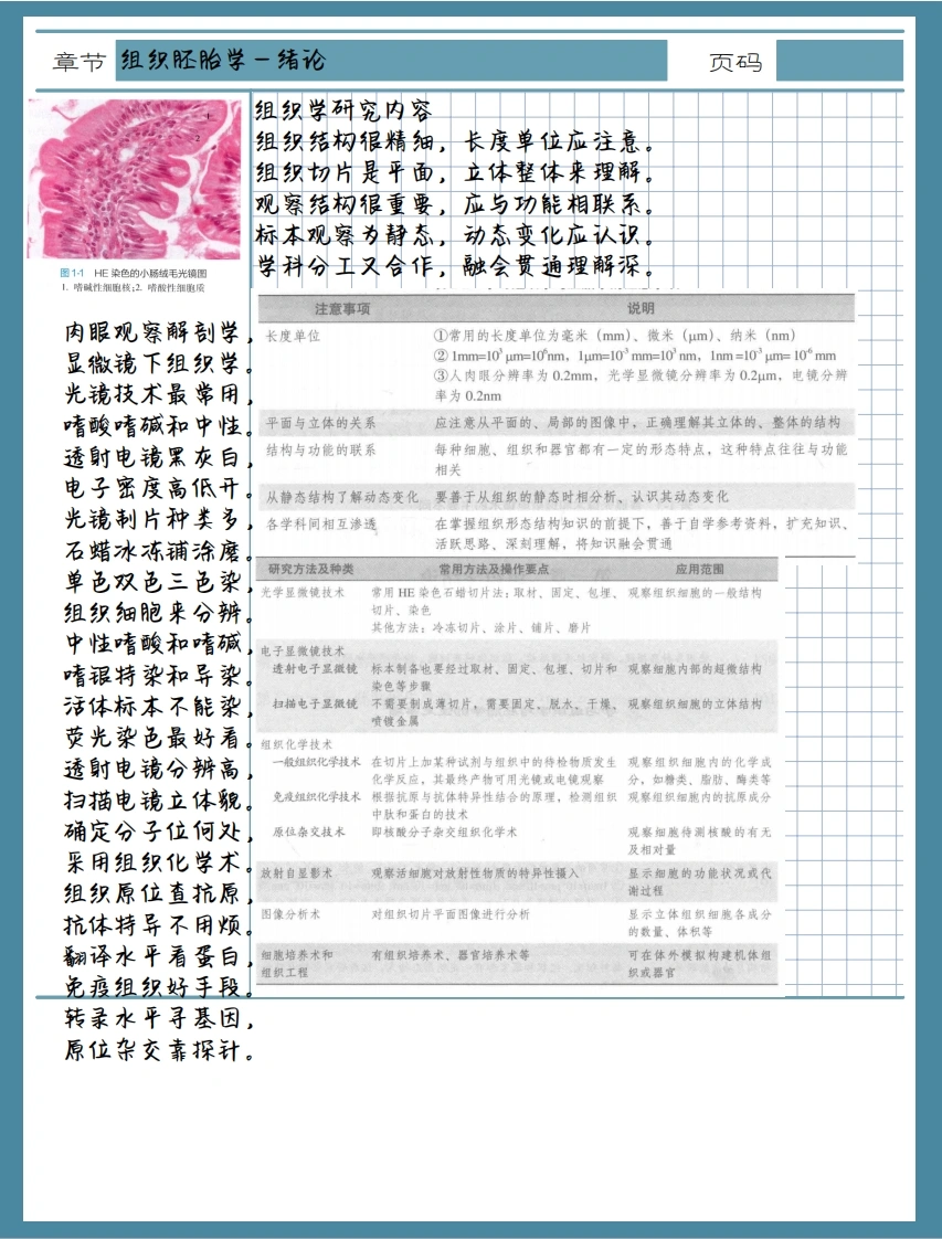 组织胚胎学笔记-医者文库